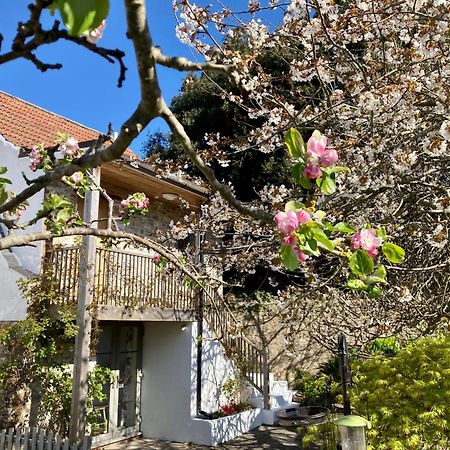 Westbury Cross House Bed & Breakfast Ngoại thất bức ảnh